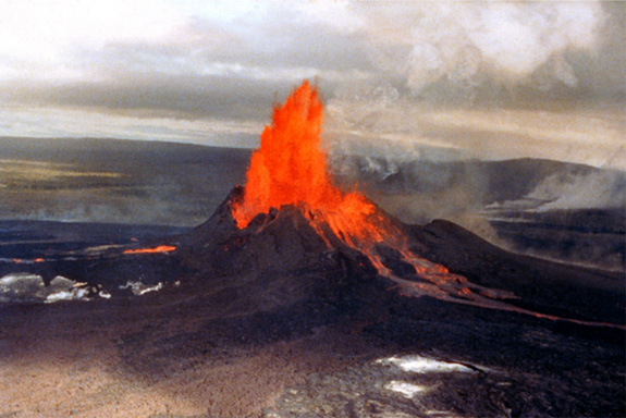 Vulkan online щитовидная
